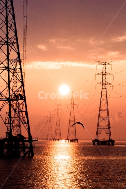 일출,sunup,sunrise,갈매기,석양,sunset,풍경,자연,풍경,nature,landscape,산업,industry,industrial,에너지산업,energy industry,cable,케이블,power lines,전력선