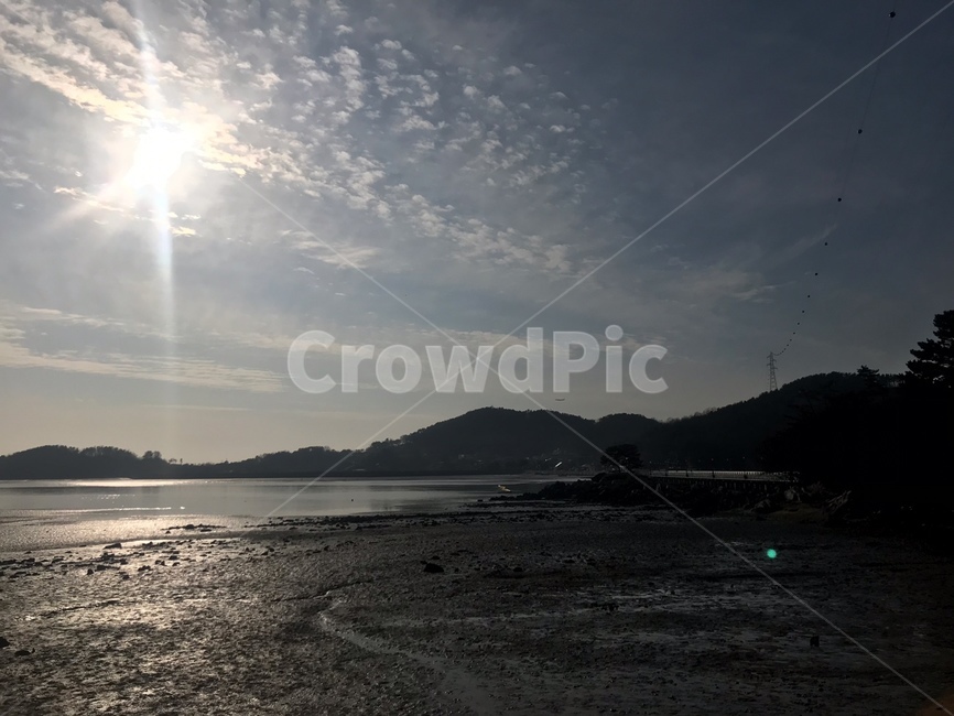 인천,서도,역광,갯벌,소나무,햇빛