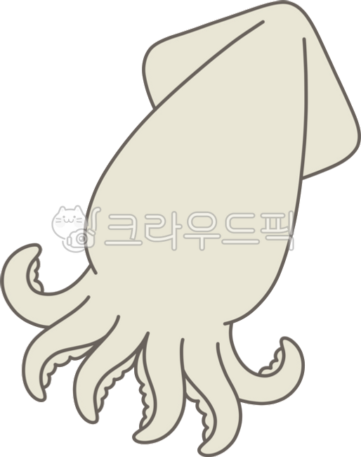 오징어,갑오징어,해산물,해양동물,바다,바다생물,동물캐릭터,갑각류,낚시,어시장,안주