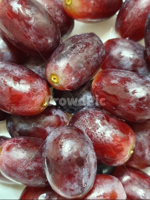 포도,과일,적포도,grape,fruit