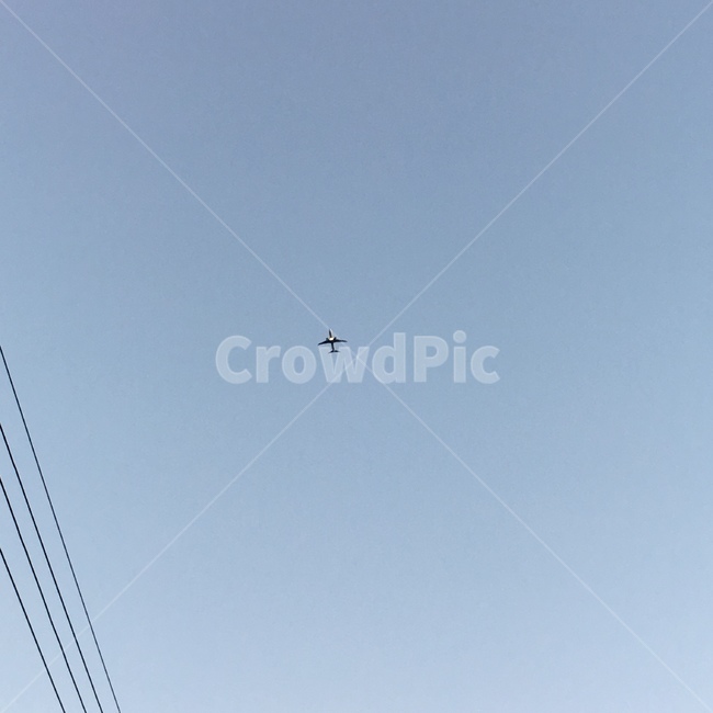 하늘,맑음,비행기,파란하늘,여름,계절,여름하늘,sky,색깔,색상,fly,color