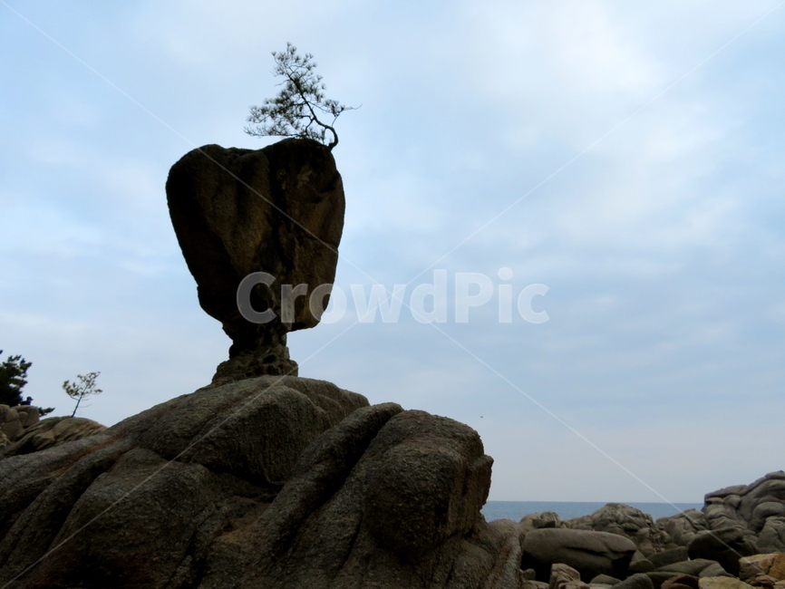 풍경,자연,하늘,바다,겨울,자연,풍경,nature,landscape,rock,록