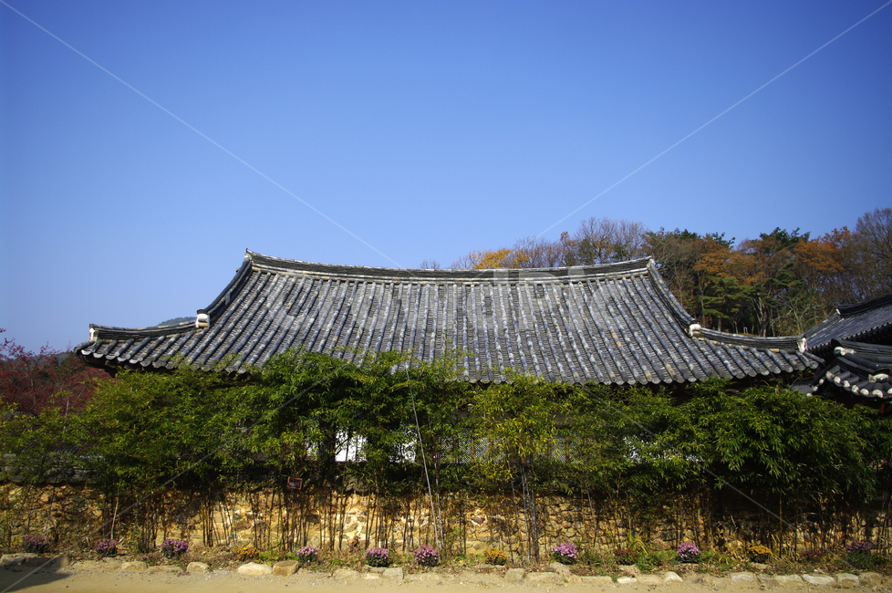 전각,사찰,전통,기와지붕,대나무,한국전통,한국문화,korean traditional,korean culture,건축물,건물외관,exterior,building,structure,architecture,construction
