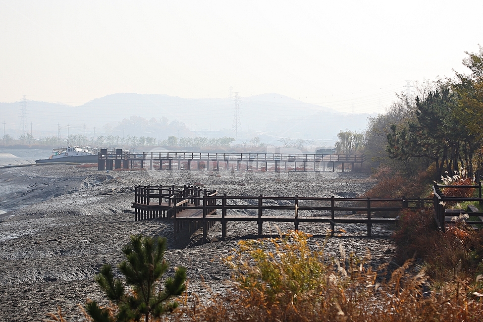 갯벌,뻘,소래습지생태공원,생태공원,함초,식물,자연,풍경,갯골,자연,풍경,nature,landscape