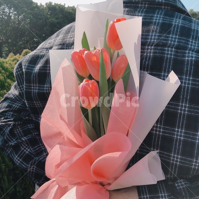 꽃,꽃다발,튤립,핑크,커플,남자친구,이벤트,향기,햇살,꽃밭,데이트,고백,행복