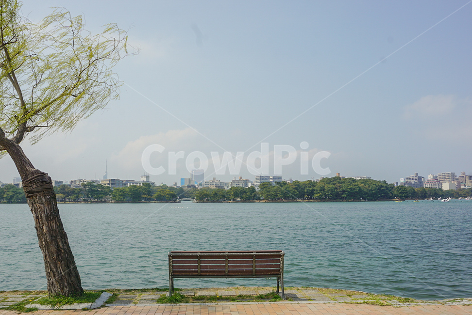 호수,벤치,풍경,나무,자연,평화,도시,풍경,city,landscape,furniture,가구,bench,water,물
