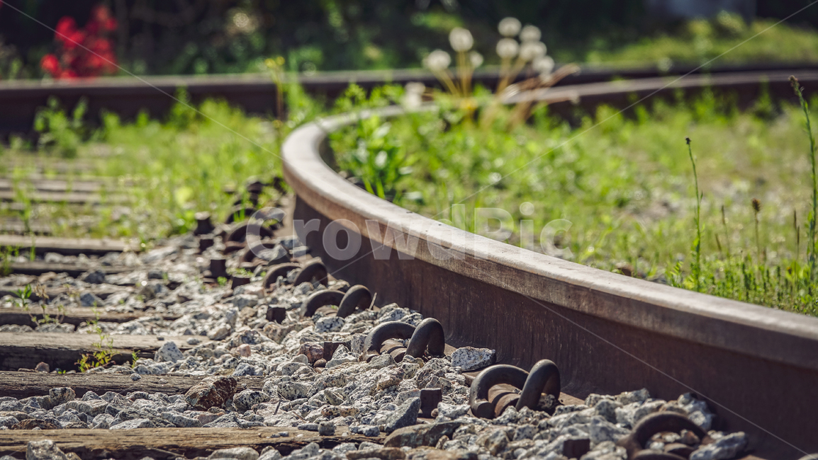 기차,철길,폐역,기차역,레일로드,train,railroad,교통,교통수단,traffic,transportation