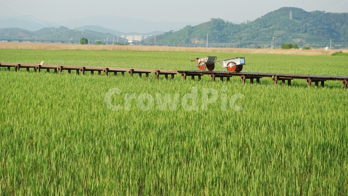 들판,자연,grassland,초록색,수레,nature,field,green,grass,풀,습지,rural,목초지,outdoors,야외,옥외,색감,color,풀밭,초원,산,다리,mountain,bridge,길,순천만습지,순천,시골,마을,풍경,landscape,country,rural,town,산업,industry,industrial,농업,농사,agriculture,farming,farming industry