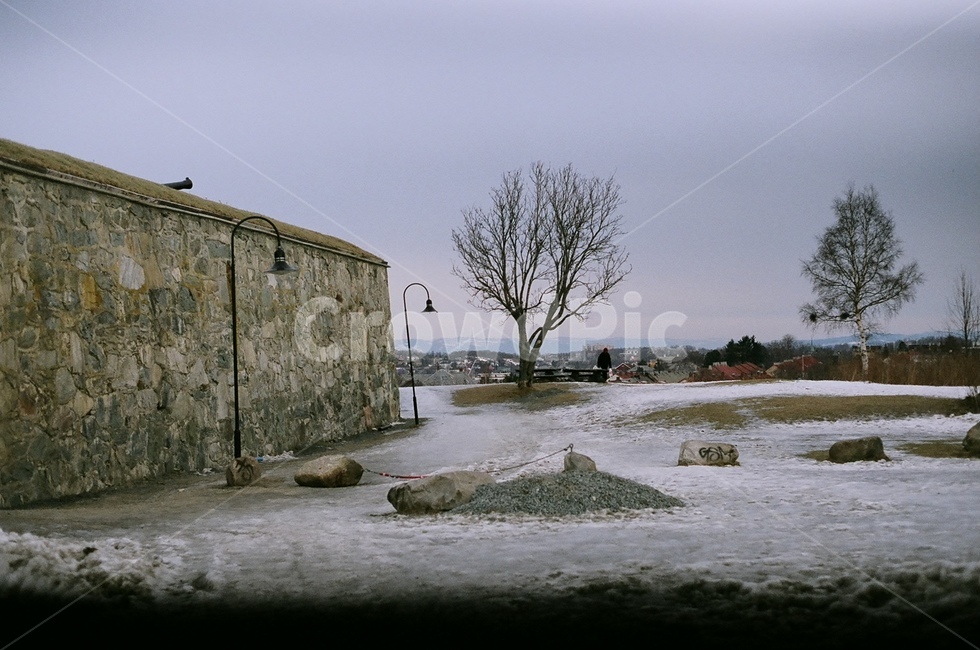 nature,자연,담벼락,가로등,나무,겨울,벽돌,wall