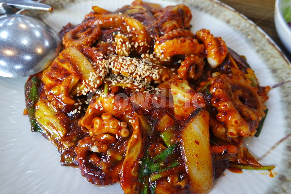 낙지,낙지볶음,낙지요리,해산물,해산물볶음,음식,식재료,요리,food,cook,meal,dishes,food reserves,한식,한국음식,한국요리,korean food,korean dishes,korean meal,korean cook