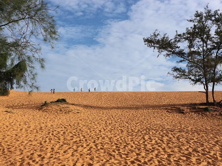 하늘,desret,sand,사막,모래,자연,풍경,nature,landscape,soil,흙,outdoors,옥외,dune,모래 언덕