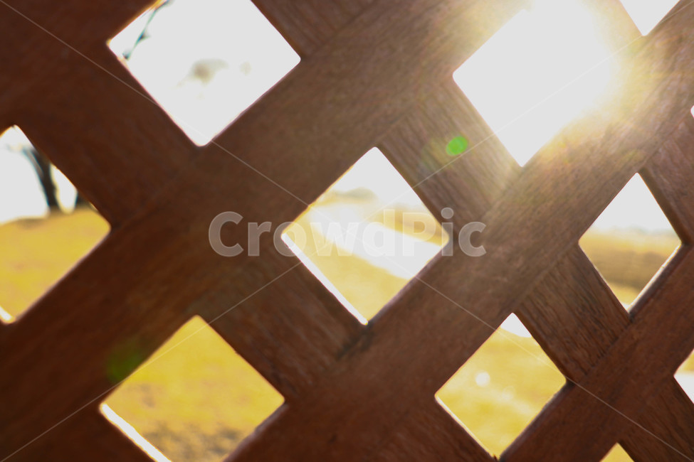풀,나무,빛,패턴,hardwood,flooring,floor,바닥,light