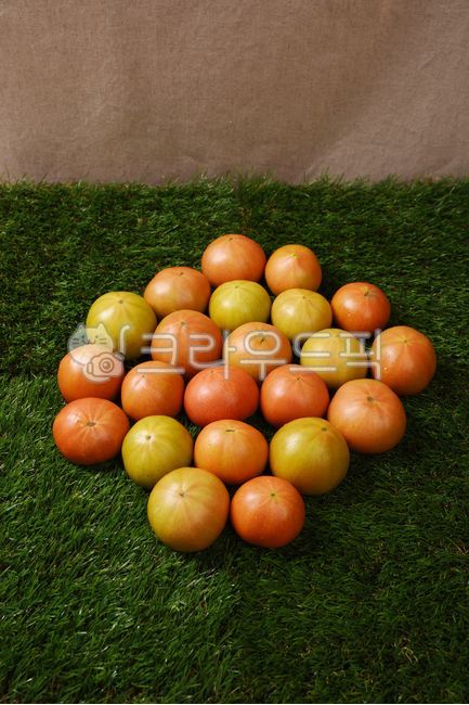 Tomato Dishes,fruit,tomato,vegetable,food