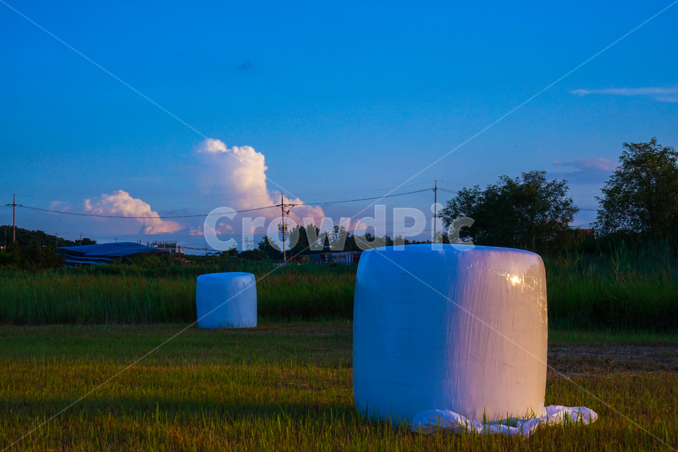 들,들판,사료,뭉치,하늘,구름,산업,industry,industrial,농업,농사,agriculture,farming,farming industry