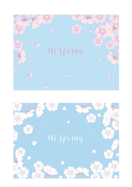 illustration,vector,벗꽃,벗꽃배경,봄배경,봄,spring,cherryblossom,sky,하늘,파랑,분홍벗꽃,하얀꽃,하얀벗꽃,일러스트,일러스트레이션,봄이미지,벗꽃이미지,봄,계절,spring,season,그래픽,일러스트레이션,graphic,illustration