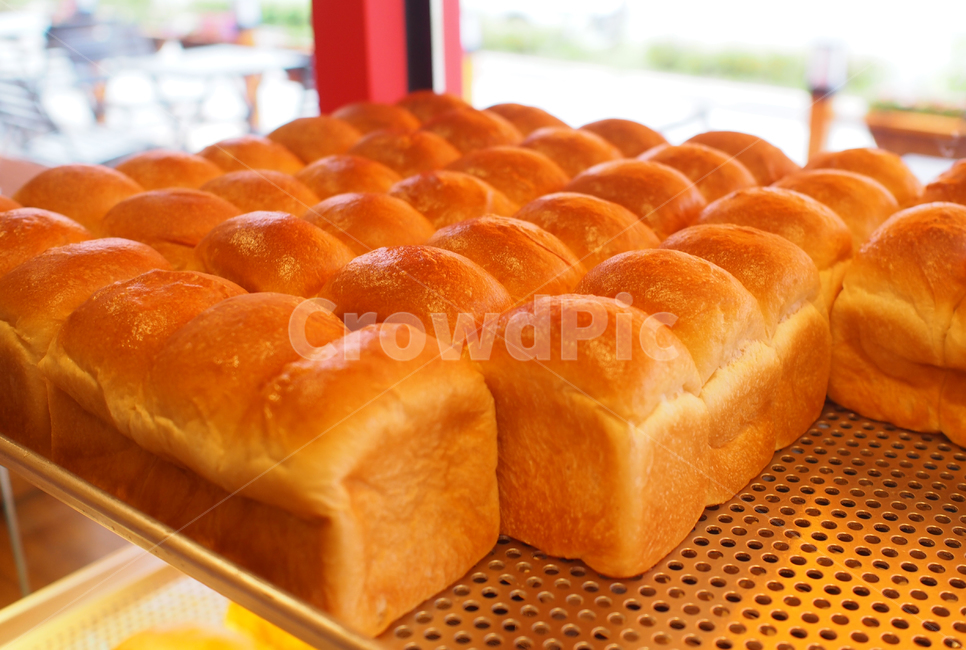 food,음식,bread,빵,bakery,toast,토스트빵,식빵,베이커리,간식,빵집,음식,식재료,요리,food,cook,meal,dishes,food reserves,빵,bread