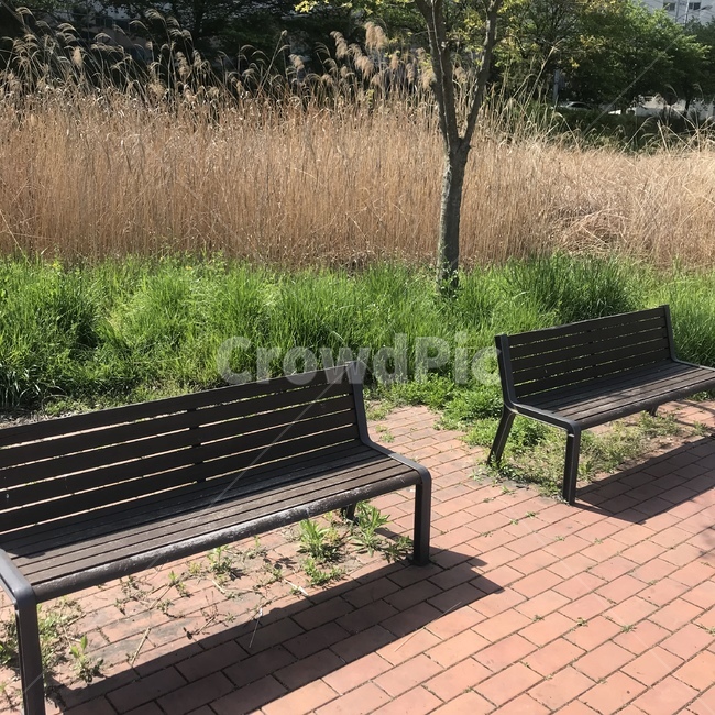 의자,벤치,산책,공원,여유,자유,평온