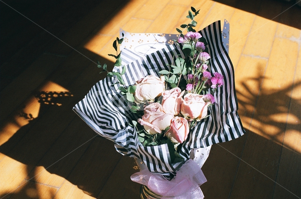 꽃,드라이플라워,그림자,플라워,필름사진,자연,필름카메라,햇빛,flower,장미,rose,필름,고백,풀,식물,감성사진,꽃,flower,기념일,축하,anniversary,congratulation,celebrate,celebration,감성,sensible,feeling