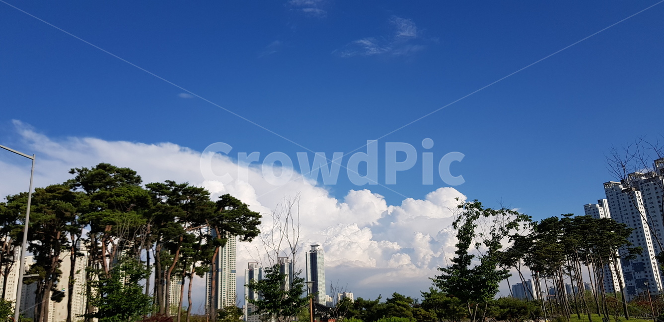 nature,자연,weather,날씨,옥외,outdoors,구름,하늘,파란하늘