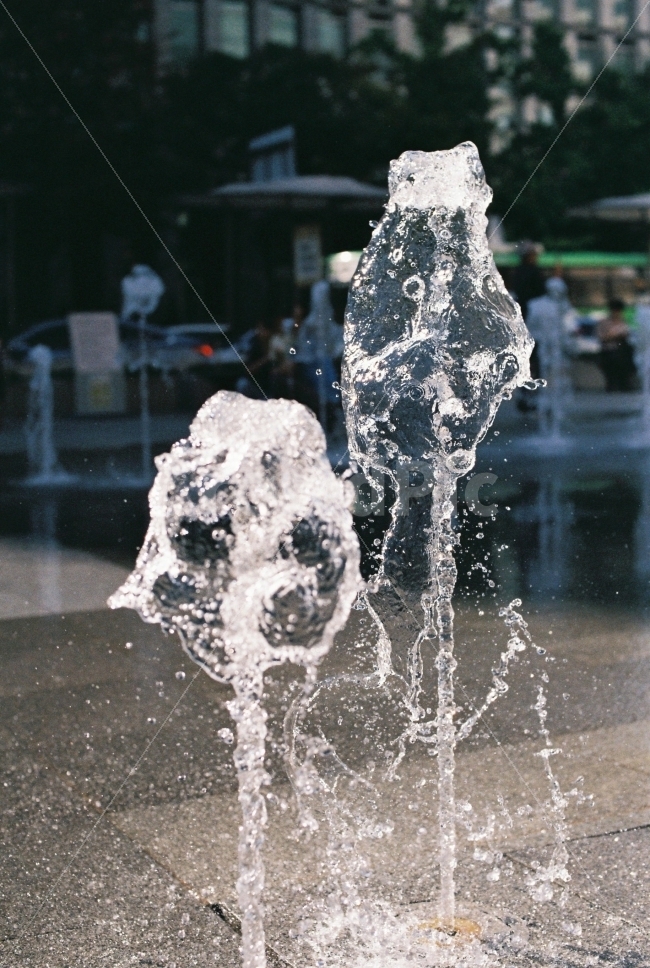 물,분수,감성,여름,시원한,필름,필름카메라,Nikon,Fm2,아날로그,여름,계절,summer,season,감성,sensible,feeling,nature,자연,outdoors,옥외,ice,빙,water