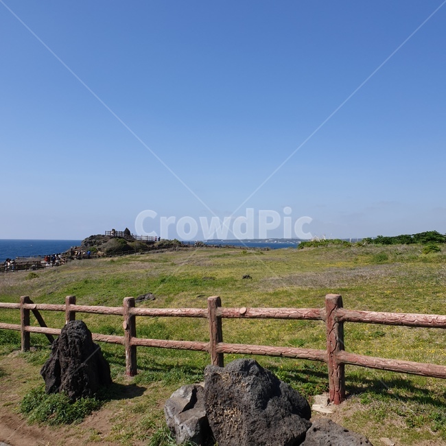 제주,제주도,섭지코지,jeju,jejudo,nature,자연,자연,풍경,nature,landscape,제주도,jeju,jeju island,outdoors,옥외
