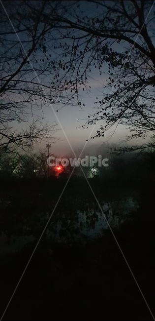 호수,밤,음산한,몽환,나무,불빛,lake,dismal,light,tree,하늘,sky,night,fantasy,자연,풍경,nature,landscape,야경,밤,nightscape,night,flare,플레어,빛,outdoors,옥외