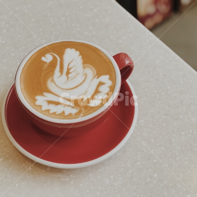 라떼아트,백조,커피,카페,카페라떼,라떼,커피,카페,coffee,cafe,감성,sensible,feeling