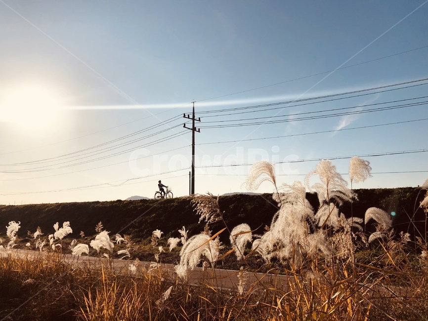 sky,warm,wire,Reed,bicycle,telephone pole,gradation