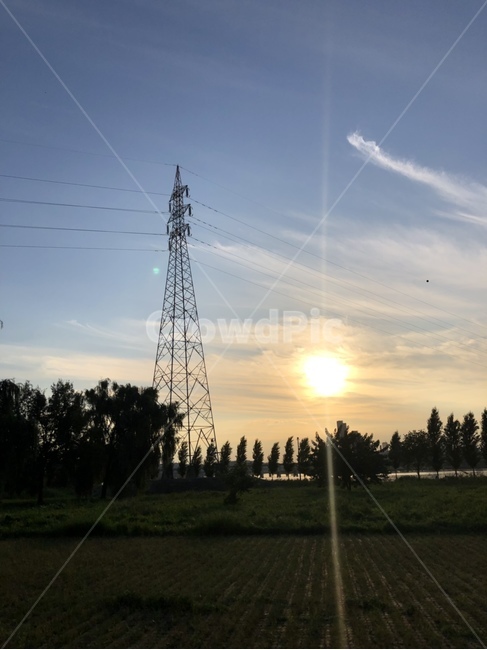 저녁,노을,배경,감성,하늘,구름,일몰,자연,나무,tree,nature,outdoors,sky,sunset,sensible,feeling,background,송전탑,케이블,electrictransmissiontower,cable,powerlines,자연,풍경,nature,landscape