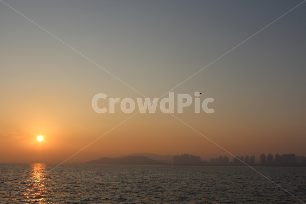 바다,노을,해질녘,갈매기,하늘,자연,풍경,nature,landscape,outdoors,옥외,sunlight,햇빛,sunset,일몰,red sky,붉은 하늘,sky,dusk,황혼,dawn,새벽