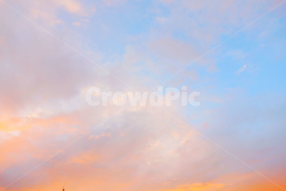 감성사진,하늘,구름,저녁하늘,몽환,몽환적,색감,color,분홍,pink,cloud,자연,풍경,nature,landscape,outdoors,옥외