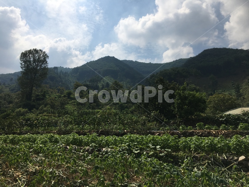 하늘,산,시골,sky,country,mountain,구름,cloud,여름,나무,맑은날,푸른하늘,밭,농촌
