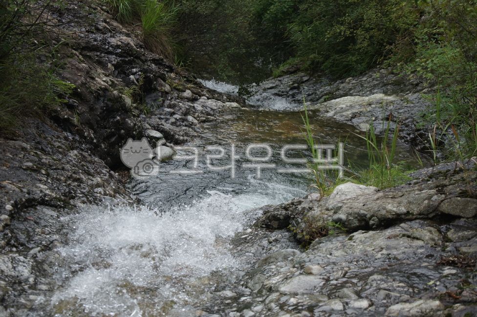 in the woods,water drop,outdoors,nature,stream,waterfall,water