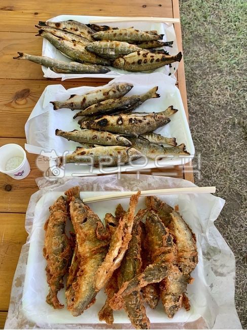 생선,fish,은어,은어구이,은어튀김