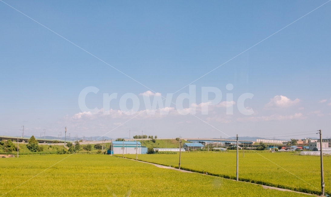 시골,농촌,논,감성,농촌풍경,풍경,하늘,구름,한국적,자연,풍경,nature,landscape,시골,마을,country,rural,town,감성,sensible,feeling,plant,식물,grass,잔디,field,들,outdoors,옥외