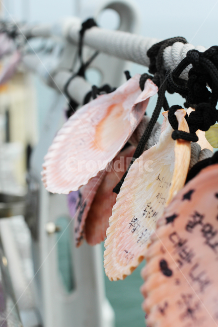 조개,소원,사랑,커플아이템,shellfish,wish,hope,coupleitem,love