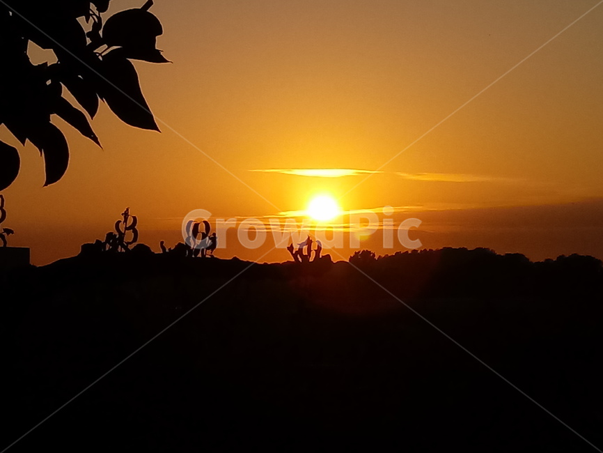 석양,노을,붉은하늘,황혼,일몰,자연,sunset,nature,sunlight,redsky,자연,풍경,nature,landscape,햇빛,outdoors,옥외,flare,플레어,light,빛,dusk,dawn,새벽,sky,하늘,red sky,붉은 하늘
