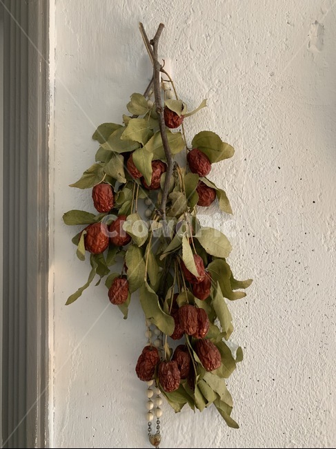 대추,과일,장식,jujube,fruite,ornament,decoration