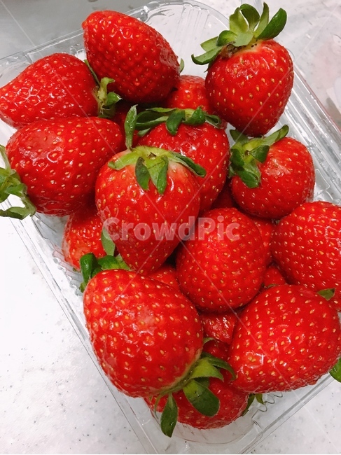 딸기,strawberry,red,맛있어보이는,싱싱한,fresh