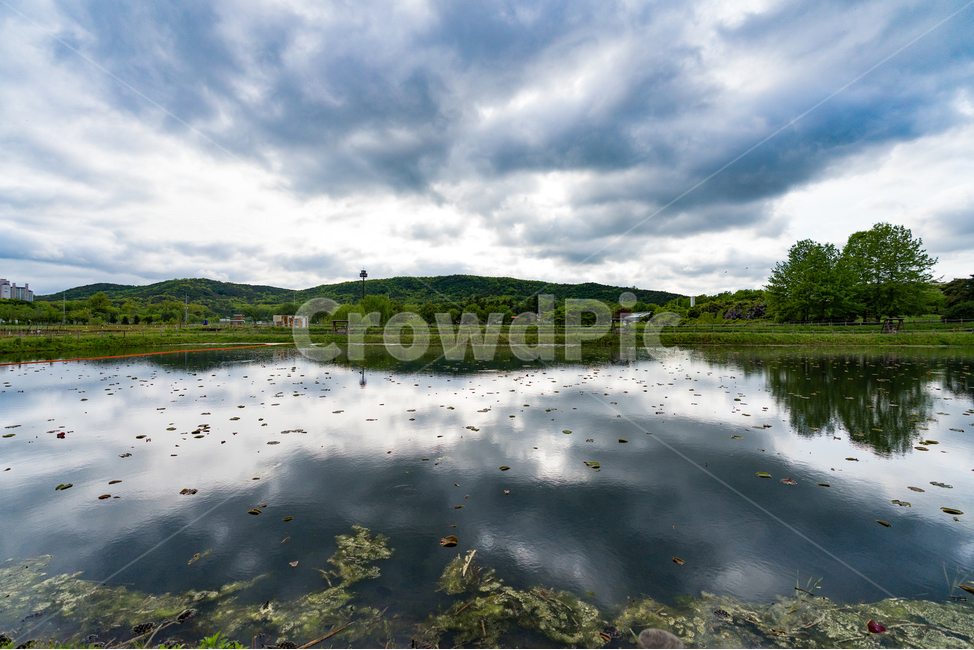구름,반영,하늘,저수지,나무,자연,sky,cloud,green,자연,풍경,nature,landscape,한국자연풍경,한국자연경관,korea nature landscape,outdoors,옥외,land,땅,water,물,marsh,습지,swamp,늪,bog,변소