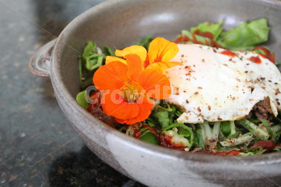 비빔밥,한련화,꽃,plant,food,식용꽃,edible,flower,식물,음식