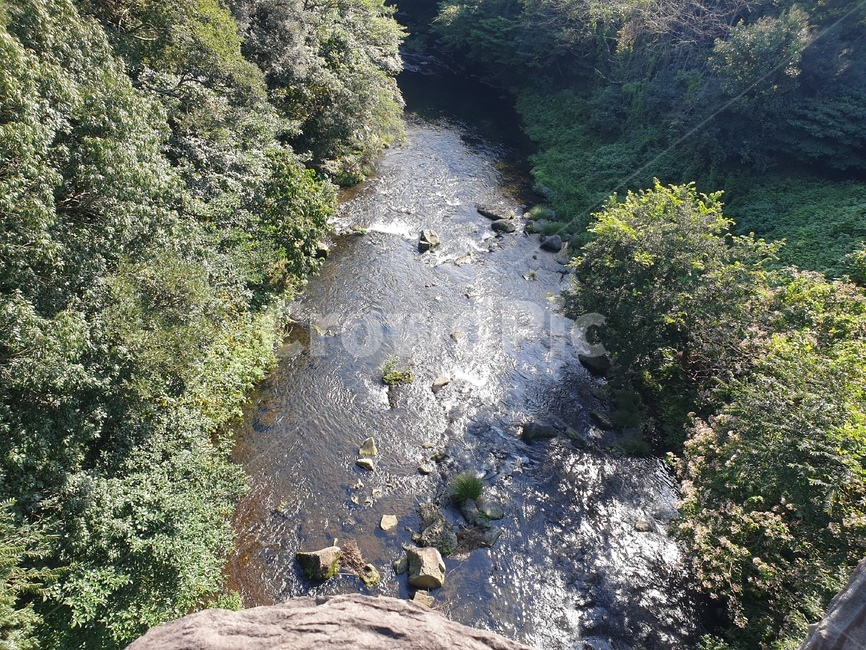 나무,물,강,냇가,돌,도랑,자연,풍경,nature,landscape,water,outdoors,옥외,stream,흐름,creek,작은 만,ditch