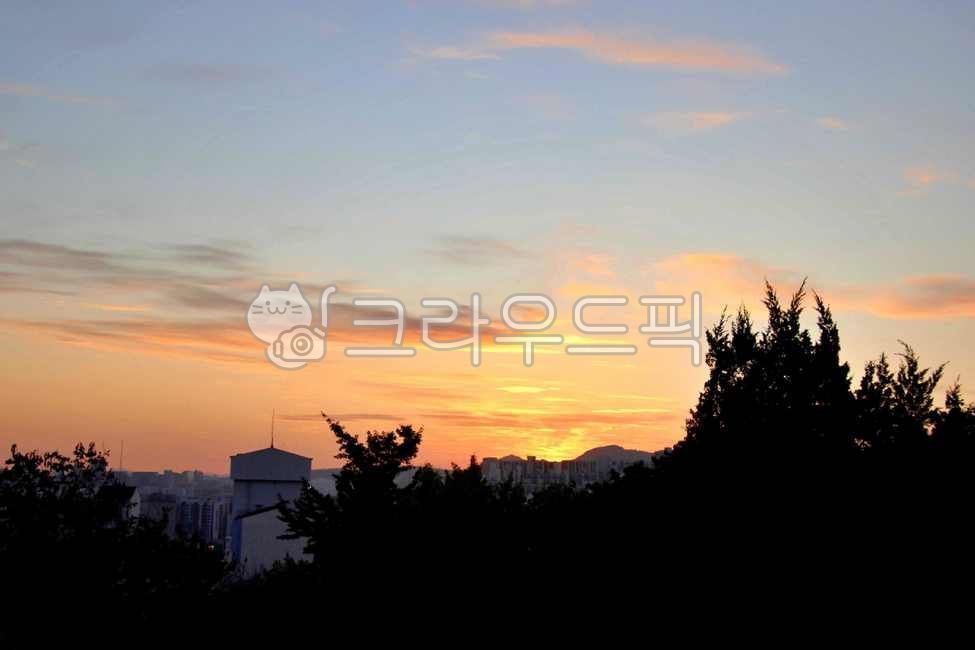 서울,성북구,개운산,개운산공원,북한산,자연,옥외,식물,나무,일몰,nature,outdoors,plant,tree,sunset