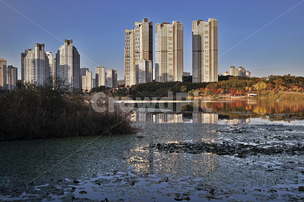 광교호수공원,영통,수원,공원,아파트,원천저수지,수초,도시,풍경,city,landscape,한국도시풍경,한국도시경관,korea cityscape