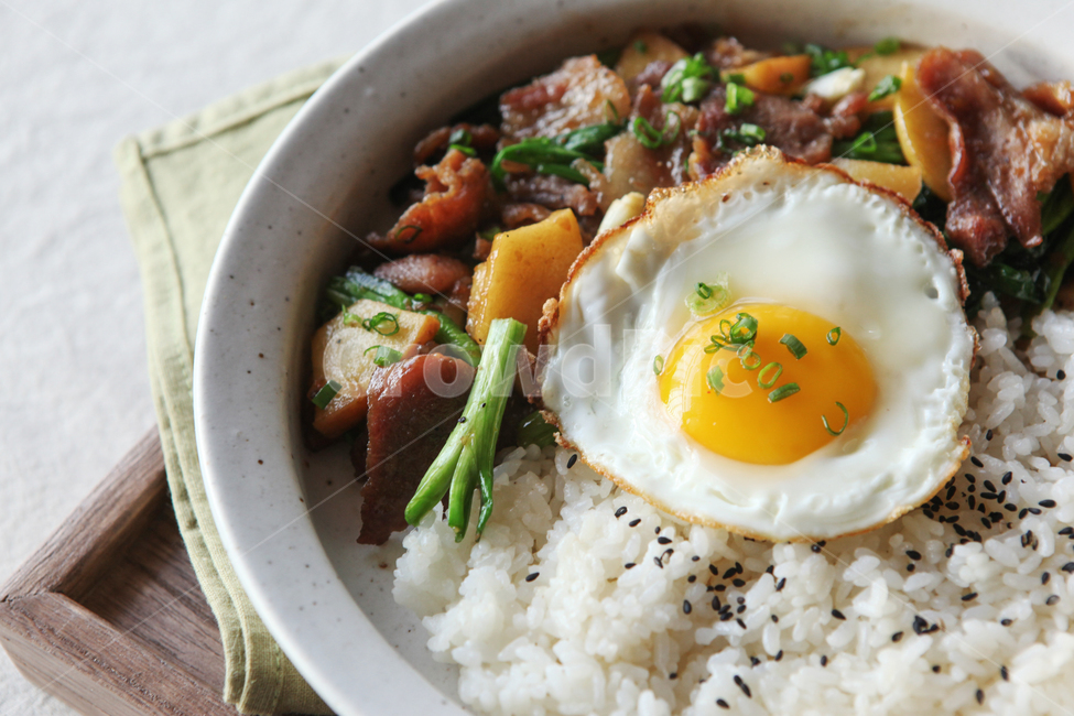 rice bowl,softboiled,Meat Rice Bowl,soy sauce,fry,pork,rice,Fried egg,chives,sunny side up,Sunny side up