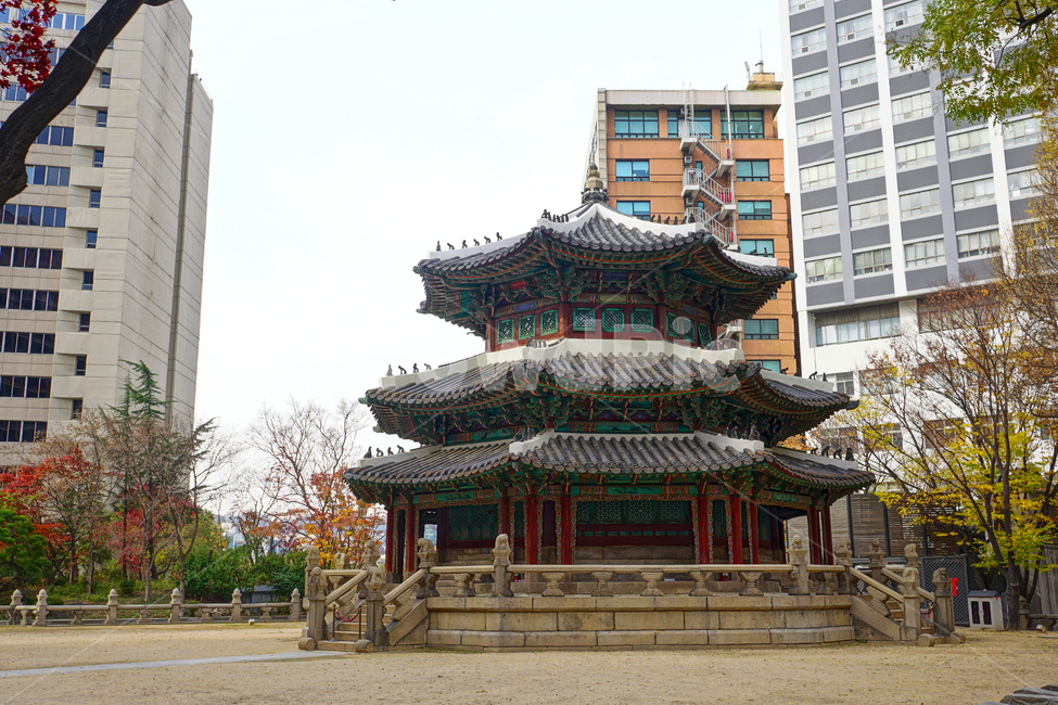 환구단,환단,원구단,문화재,전통,대한제국,조선,문화,전통문화,한국,korea,서울,seoul,한옥,건물,빌딩,building,건축물,건축,culturalassets,culturaltreasure,황궁우,천단,신단,제단,해태,가을,단풍,나무,tree,fall,autumn,역사,히스토리,history,한국전통,한국문화,korean traditional,korean culture,랜드마크,landmark,tourist attraction,한국랜드마크,한국관광지,한국명소,korea landmark,korea tourist attraction,건축물,건물외관,exterior,building,structure,architecture,construction