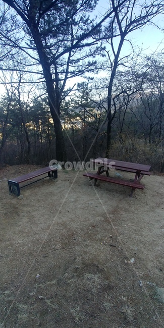 여유,벤치,숲,힐링,자연,자연,풍경,nature,landscape,bench,ground,바닥,wood,나무