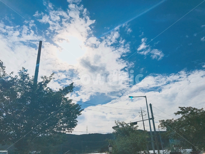 하늘,구름,하늘색,나무,맑음,색감,느낌,풍경,감성,자연,파랑,sky,cloud,태양,햇빛