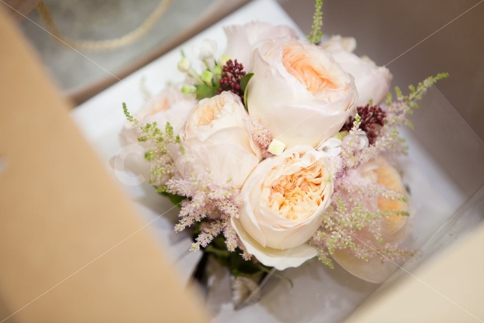 웨딩,부케,꽃,결혼,신부,wedding,flower,bouquet,예쁜사진,화사한,식물,자연,plants,nature,꽃,flower,기념일,축하,anniversary,congratulation,celebrate,celebration,결혼,혼례,웨딩,wedding,marriage,marry,연출,컨셉,콘셉,direction,concept