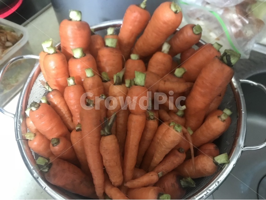 당근,농작물,자연,시골,농촌,음식,식재료,요리,food,cook,meal,dishes,food reserves,채소,야채,vegetables